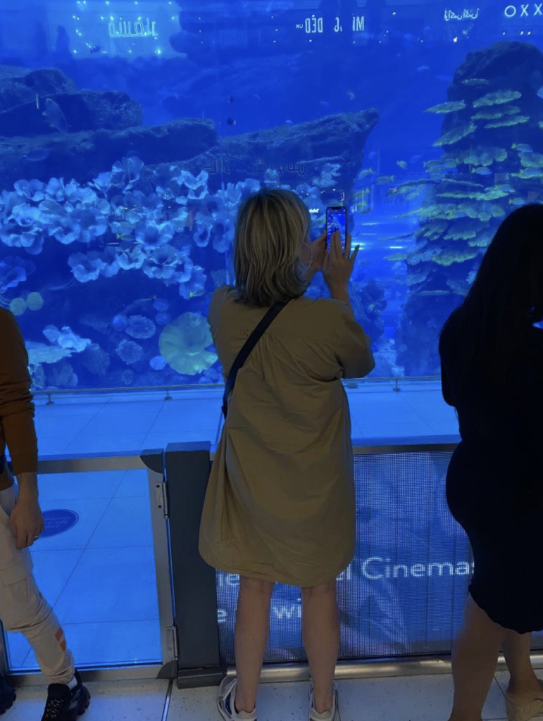 Dubai Mall