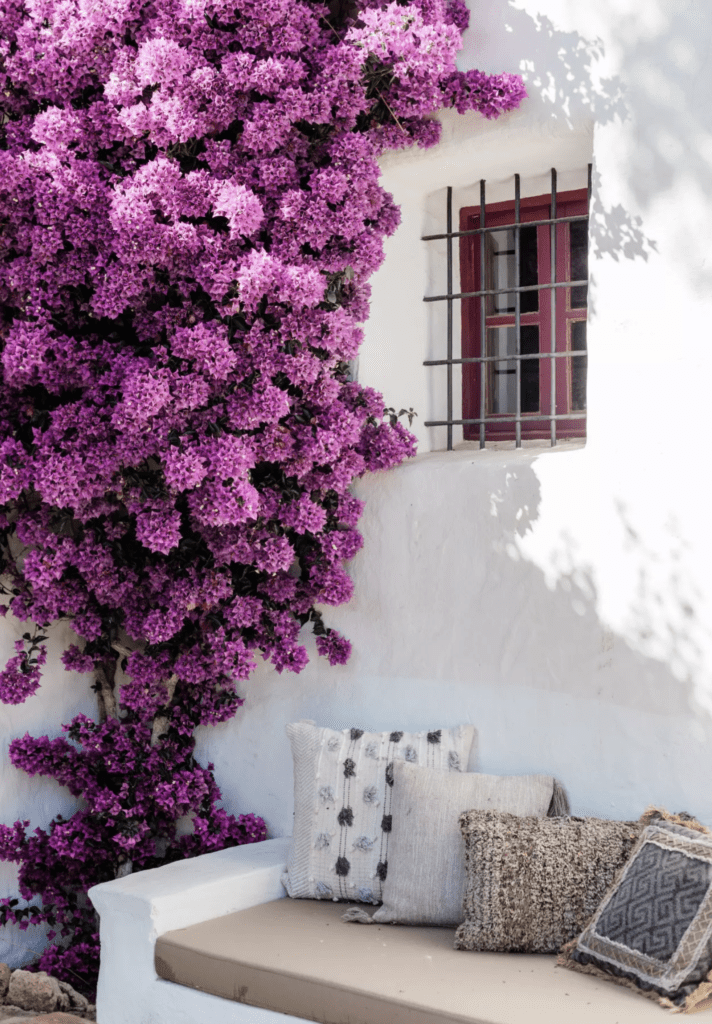 mooiste boutique hotel leuke agroturismo